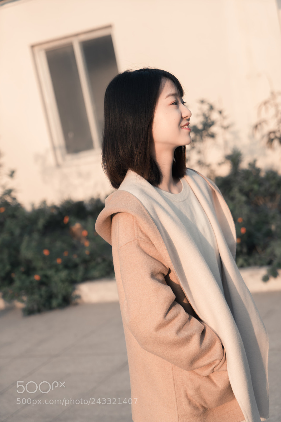 Sony a7R II sample photo. Dsc photography