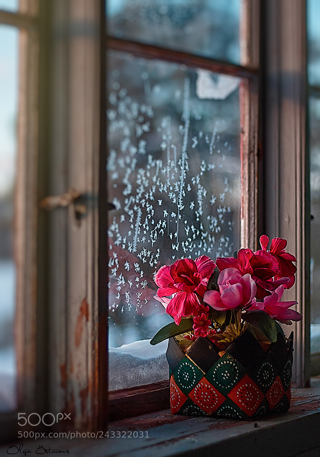 Canon EOS 550D (EOS Rebel T2i / EOS Kiss X4) sample photo. Winter window photography