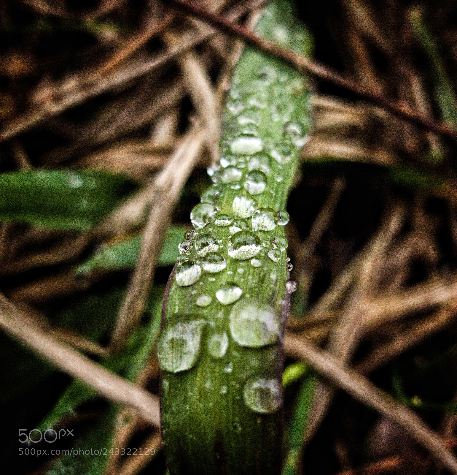 Samsung Galaxy Note5 sample photo. Untitled photography