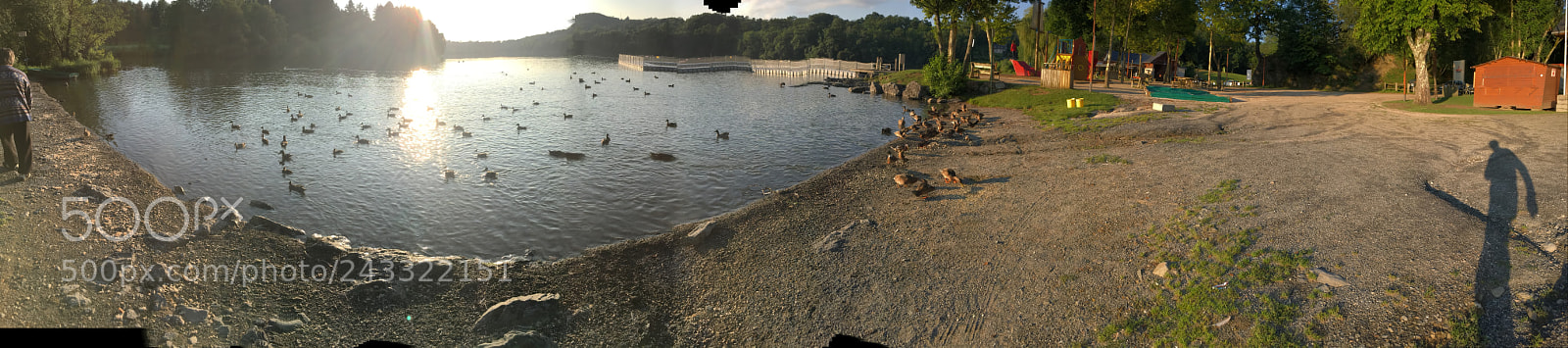 Apple iPhone 6s sample photo. Ducks at lourdes on photography