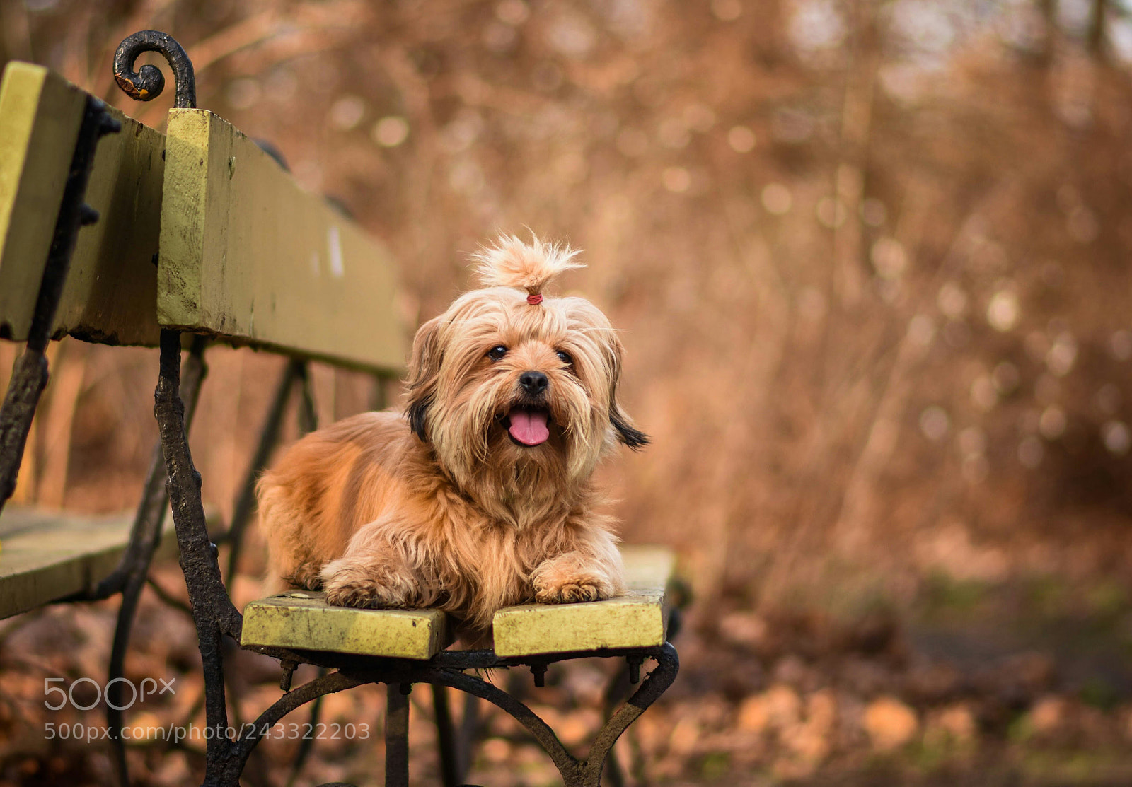 Nikon D7200 sample photo. Untitled photography