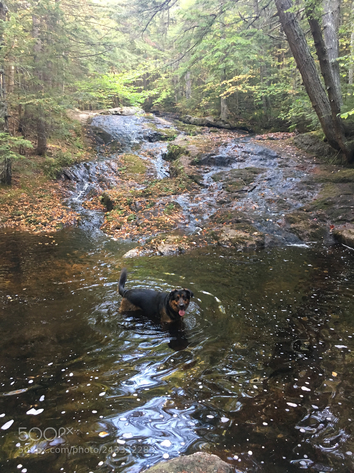 Apple iPhone 6s sample photo. Rhea in the waterfall photography