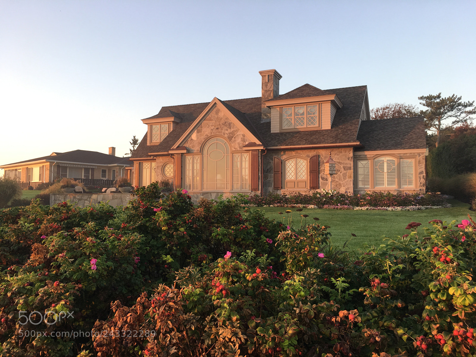 Apple iPhone 6s sample photo. Morning light photography