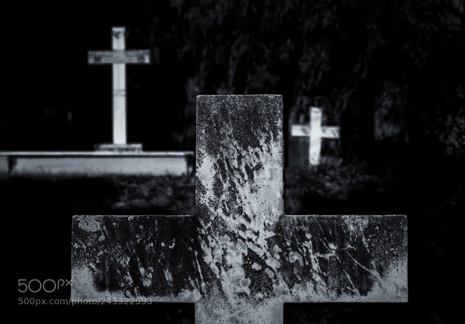 Sony a7 II sample photo. English cemetery in malaga photography