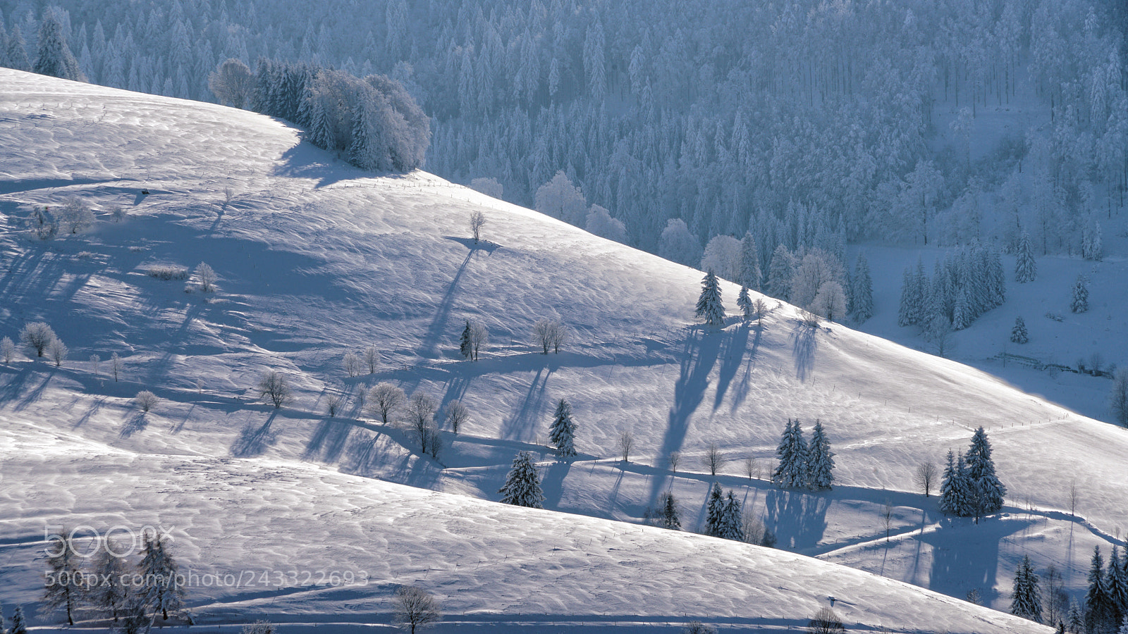 Sony a7R II sample photo. On a winter's day photography
