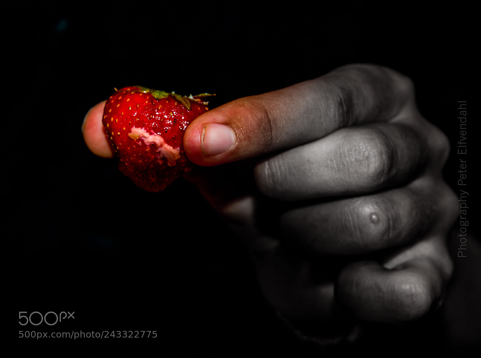 Nikon D800 sample photo. Strawberry. photography