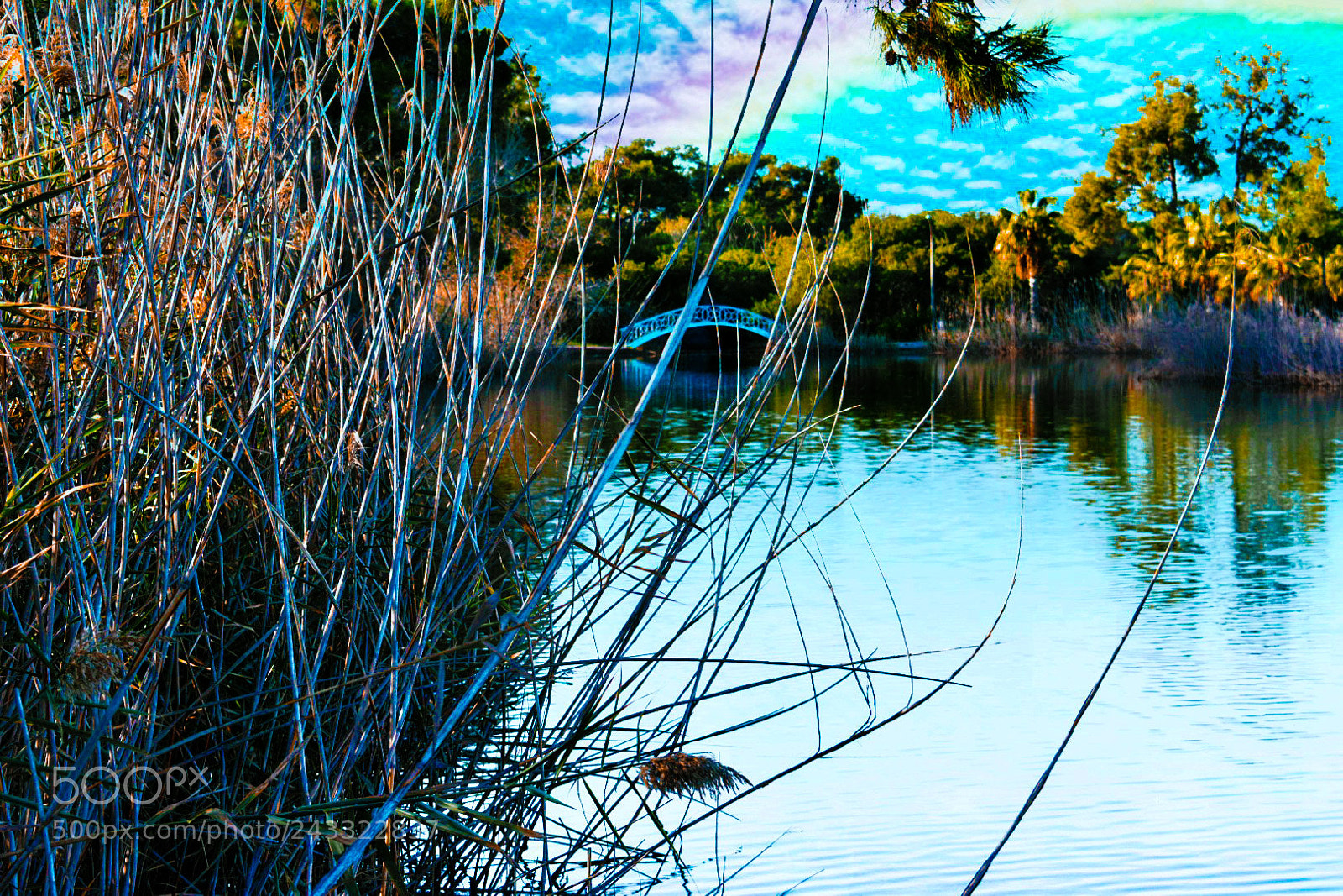Nikon D3400 sample photo. Lake photography