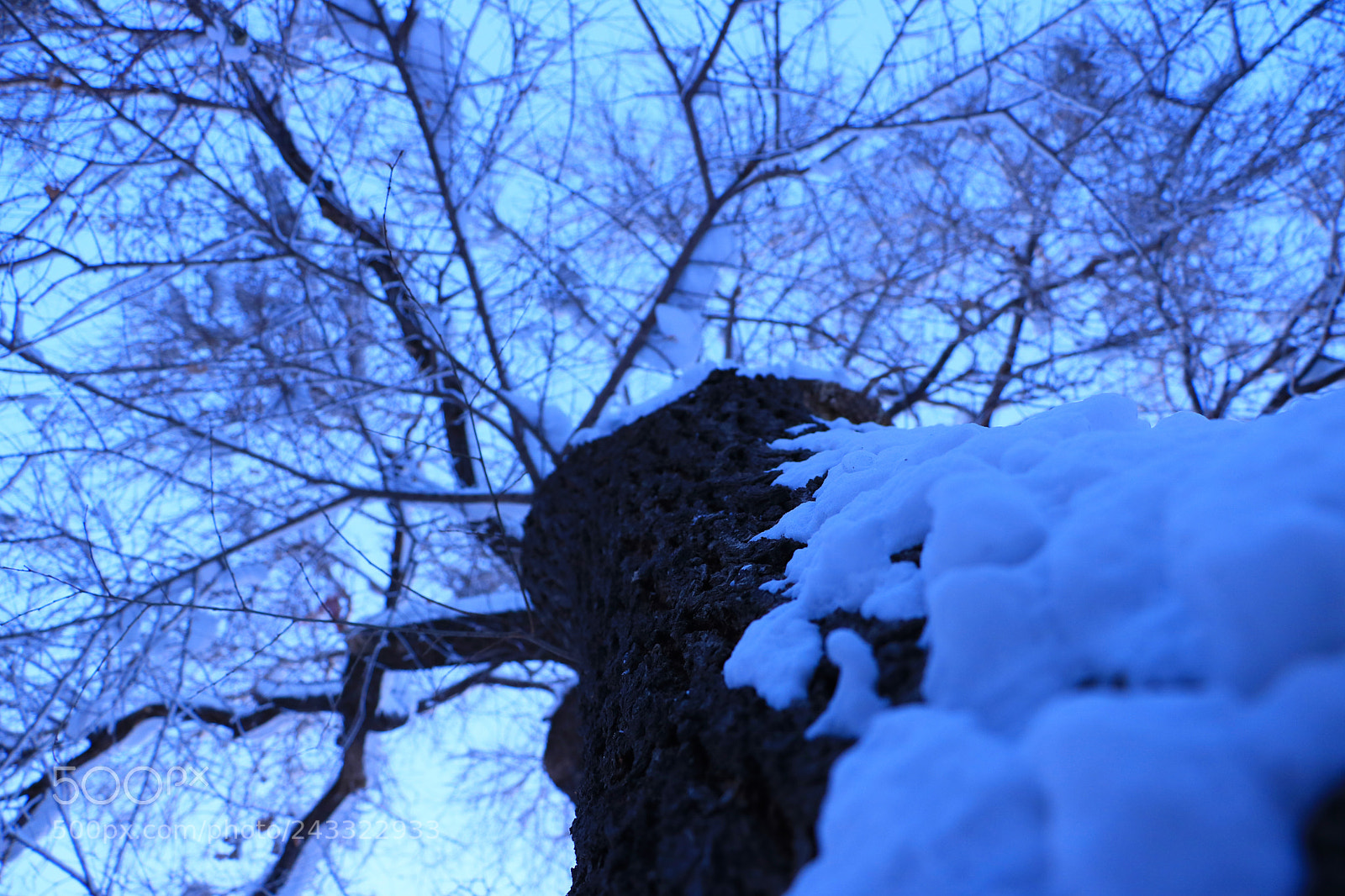 Canon EOS 760D (EOS Rebel T6s / EOS 8000D) sample photo. Cc snow photography