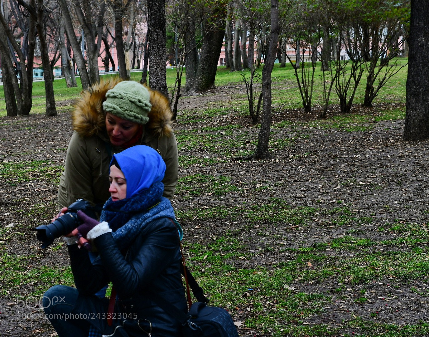 Nikon D7500 sample photo. Untitled photography