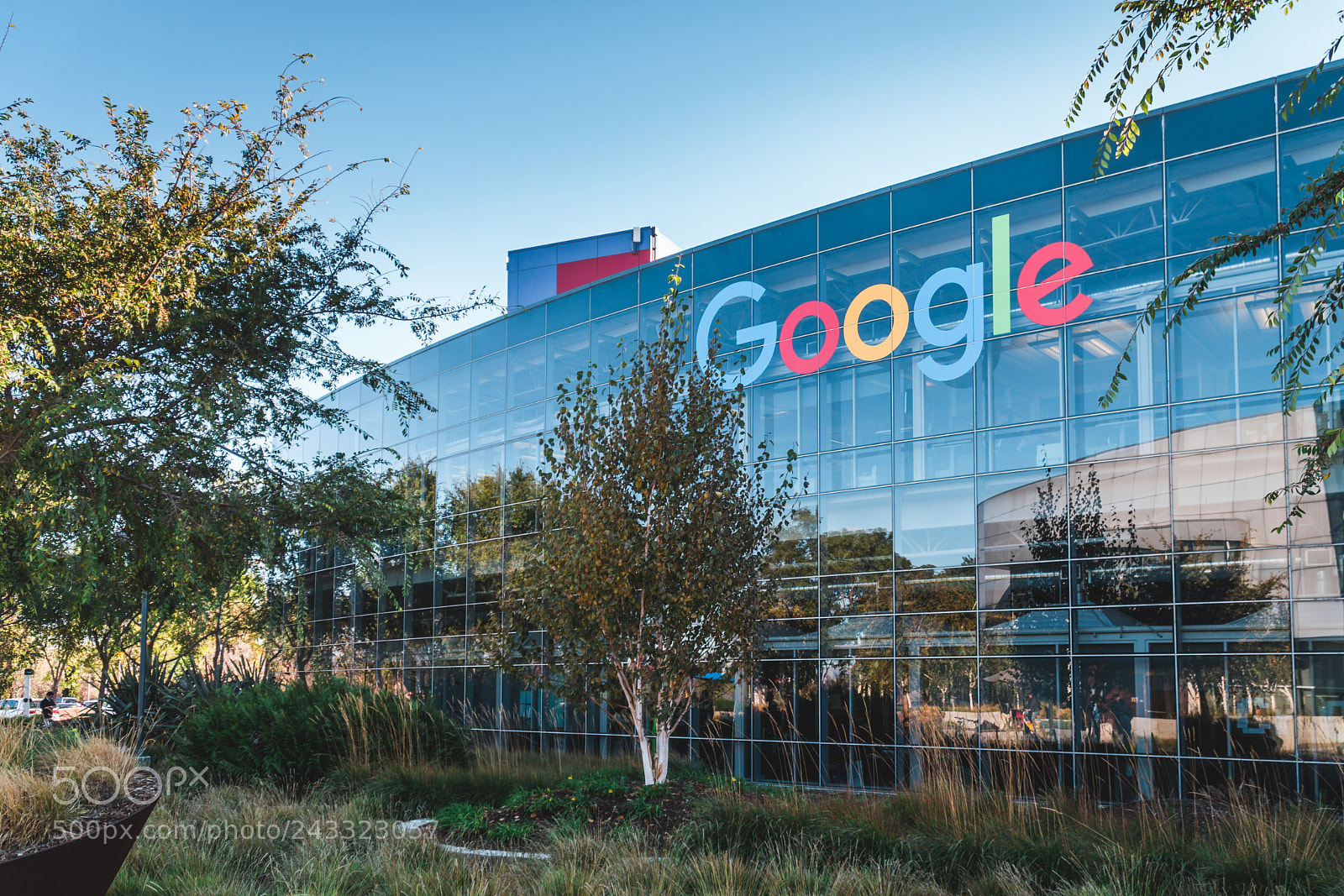 Sony a6500 sample photo. Google hq! inside photography
