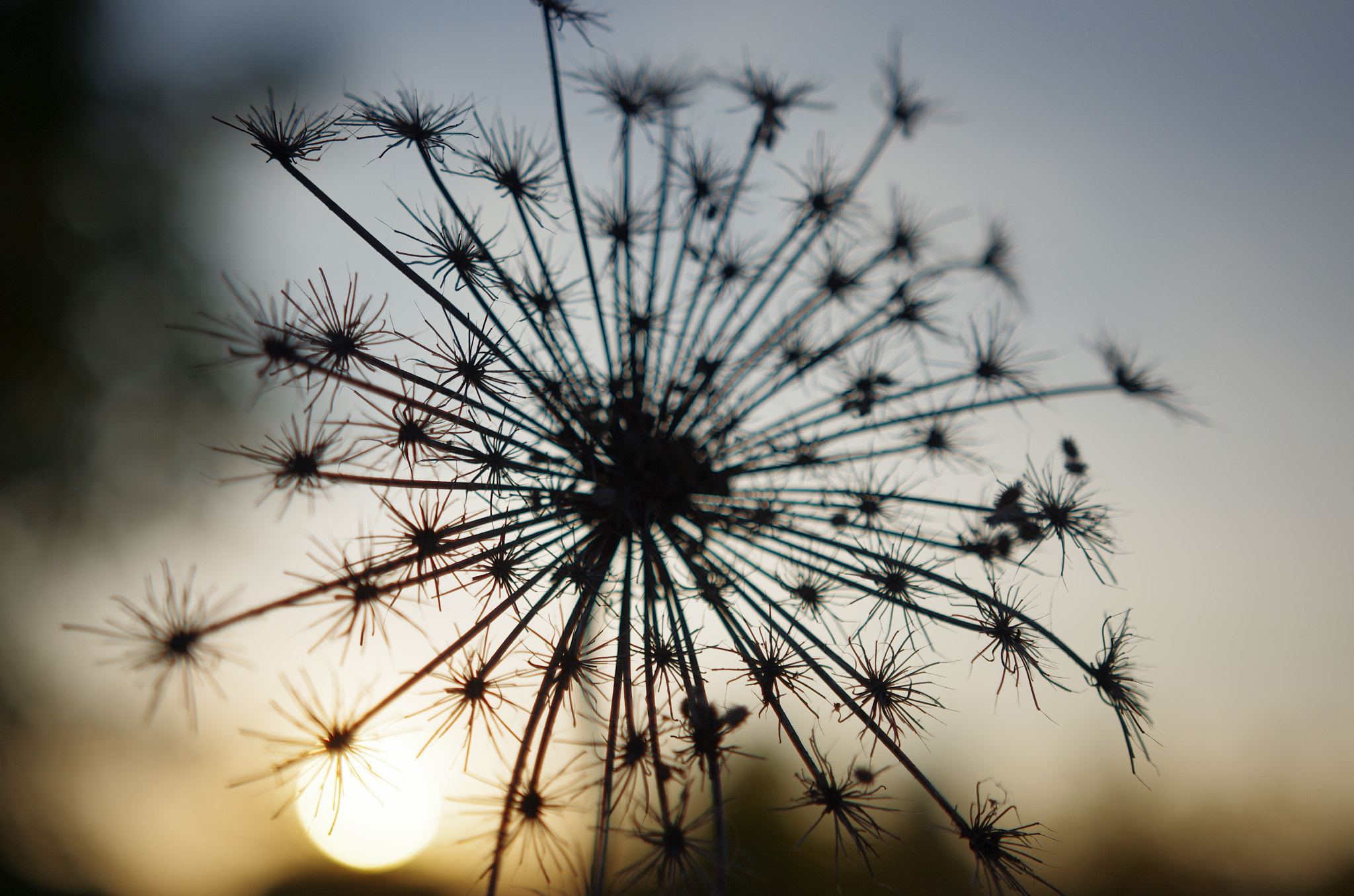 Sigma 18-35mm F1.8 DC HSM Art sample photo