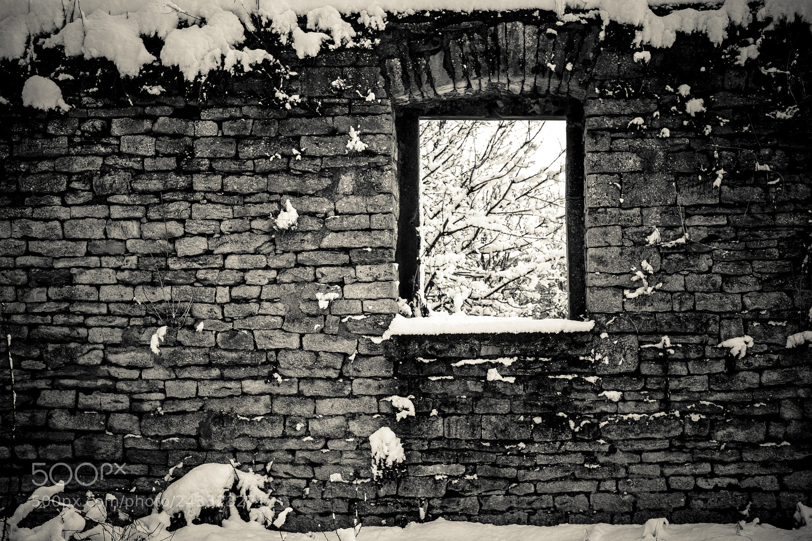 Fujifilm X-T20 sample photo. Windowwinter photography