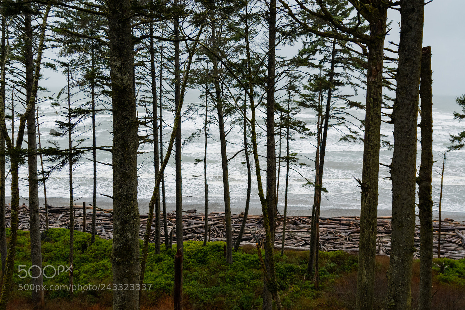 Nikon D7100 sample photo. Ruby beach photography