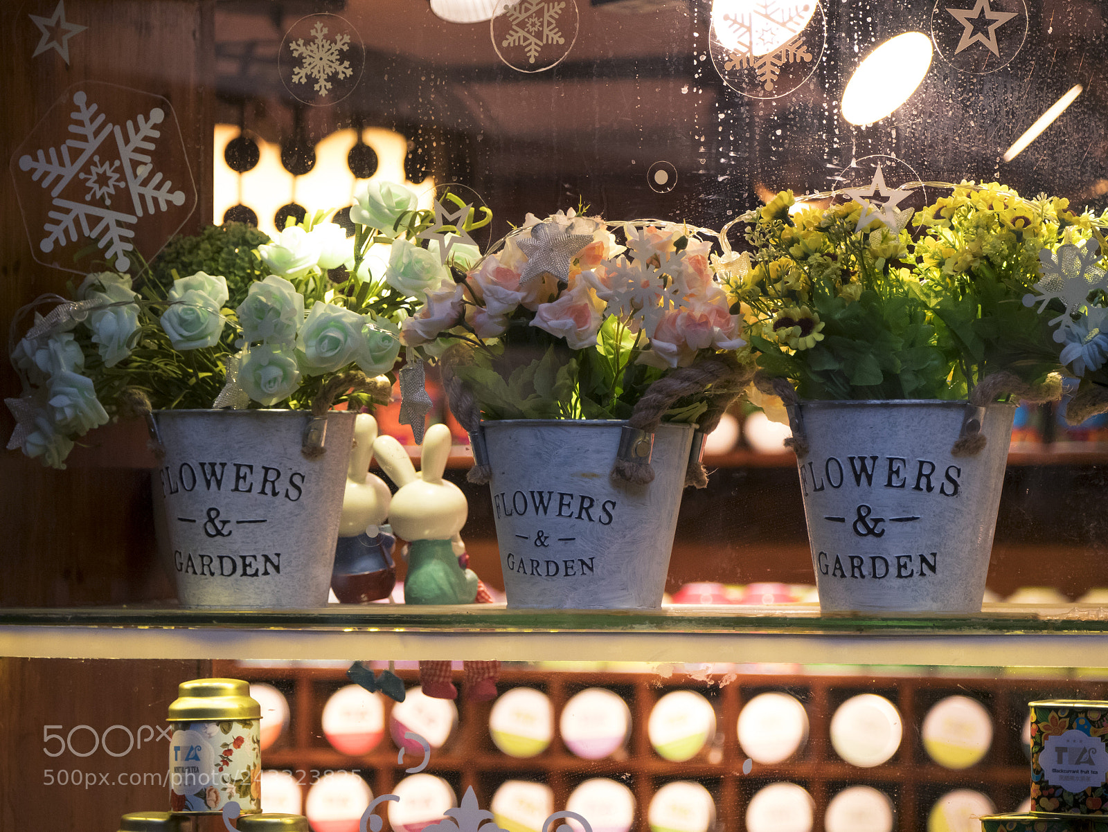 Panasonic Lumix DMC-GX85 (Lumix DMC-GX80 / Lumix DMC-GX7 Mark II) sample photo. Windows & flowers photography