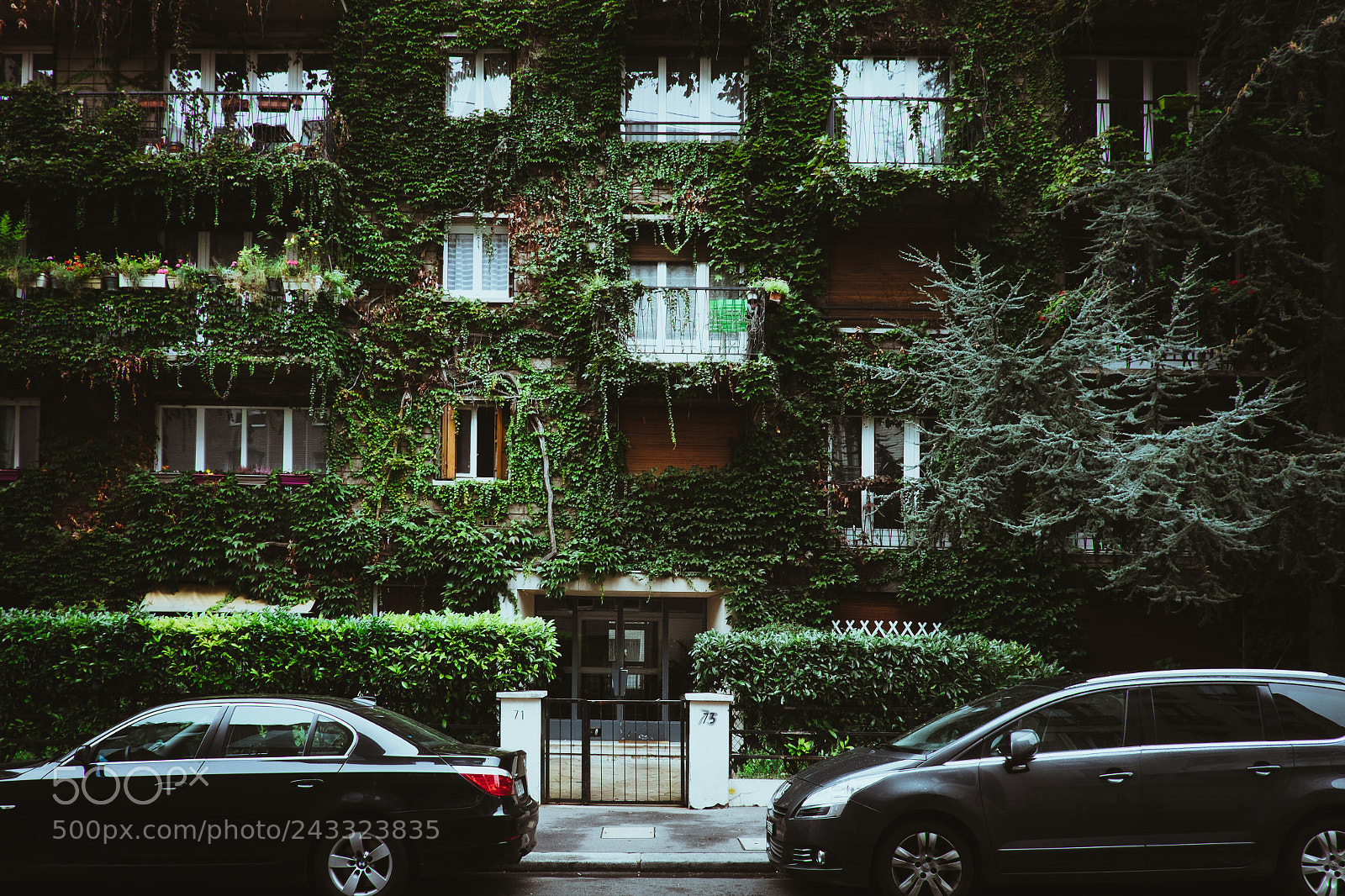Fujifilm X-T1 sample photo. Untitled photography