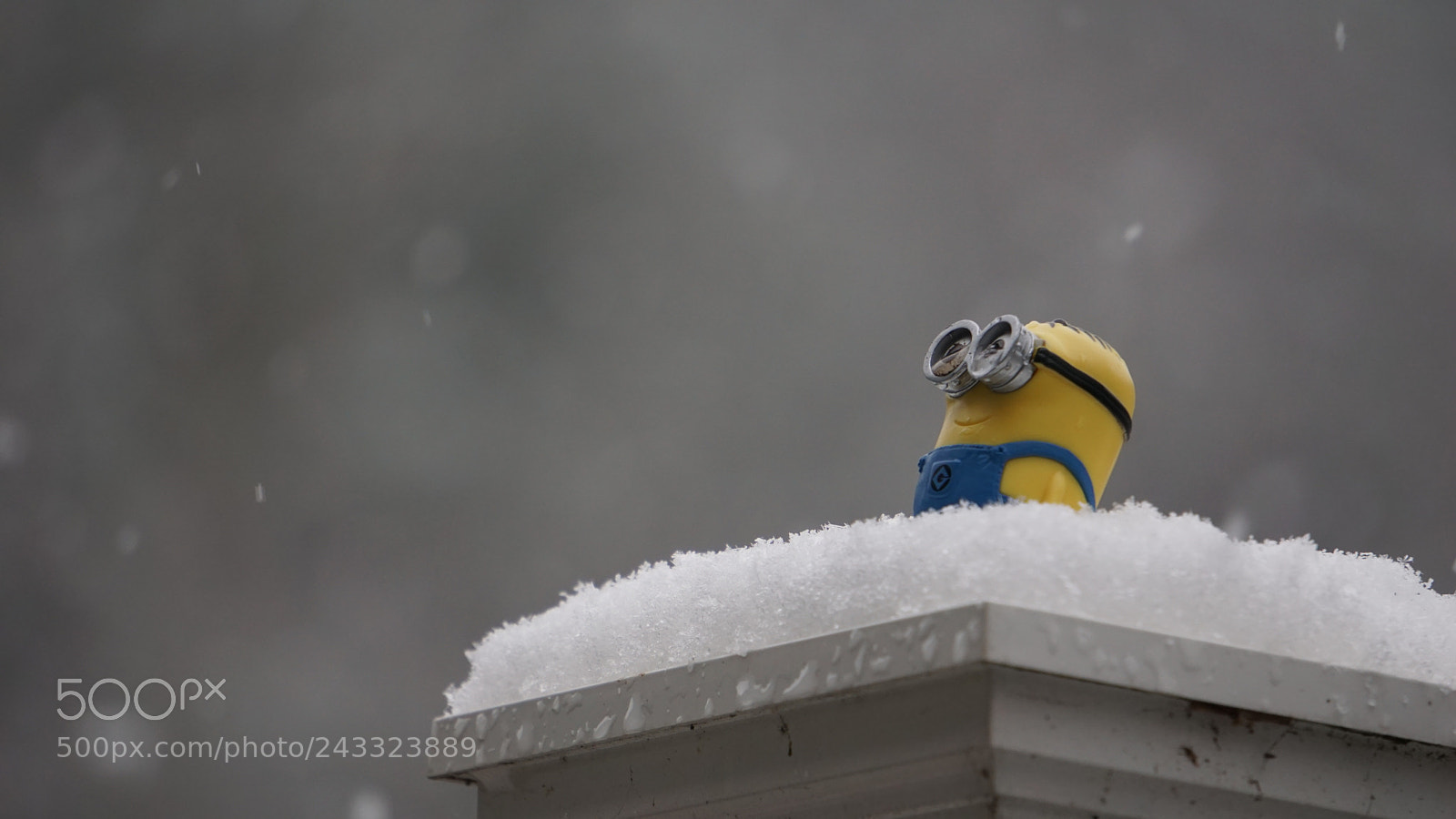 Sony E 55-210mm F4.5-6.3 OSS sample photo. Who doesn't love snow photography