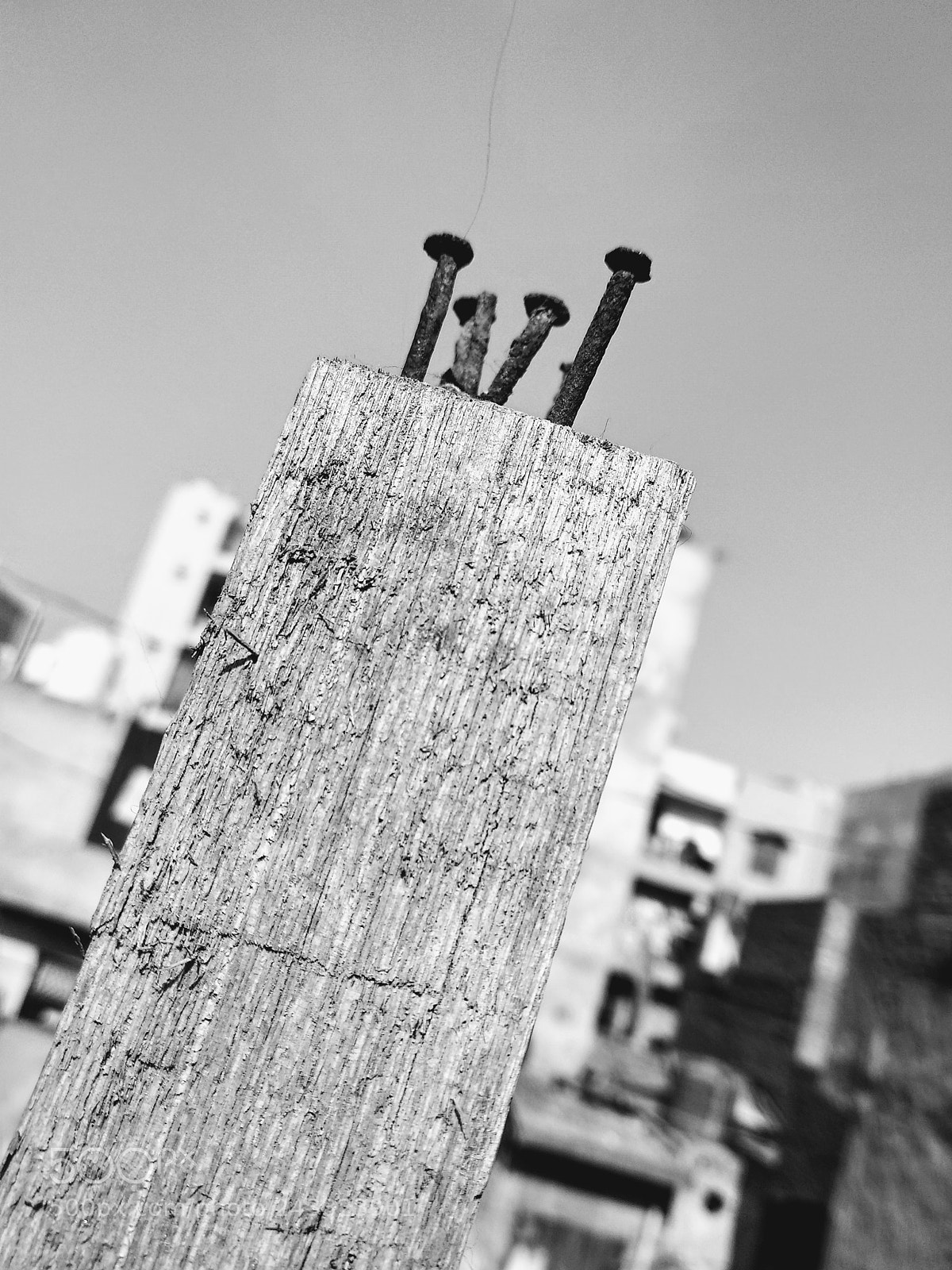 Xiaomi Mi A1 sample photo. Black and white photography