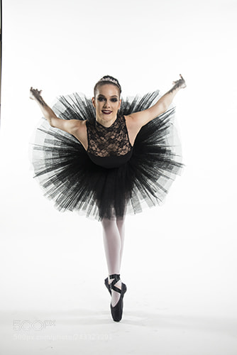 Nikon D600 sample photo. Black swan - odile photography