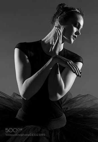 Nikon D600 sample photo. Black swan - odile photography