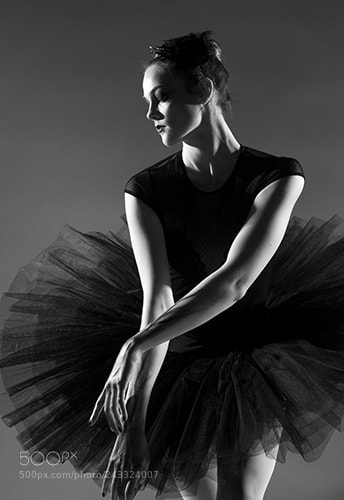 Nikon D600 sample photo. Black swan - odile photography