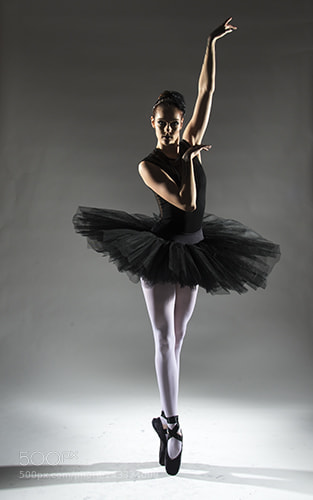 Nikon D600 sample photo. Black swan - odile photography