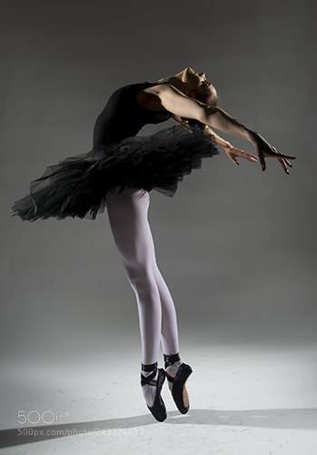Nikon D600 sample photo. Black swan - odile photography