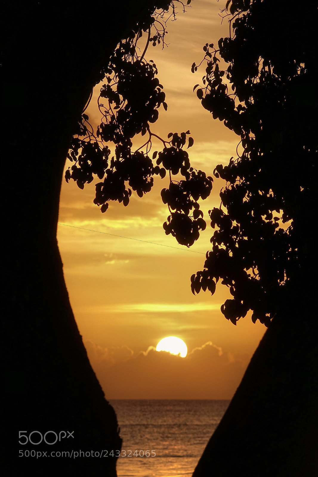 Sony Cyber-shot DSC-RX10 III sample photo. A sun set.. photography