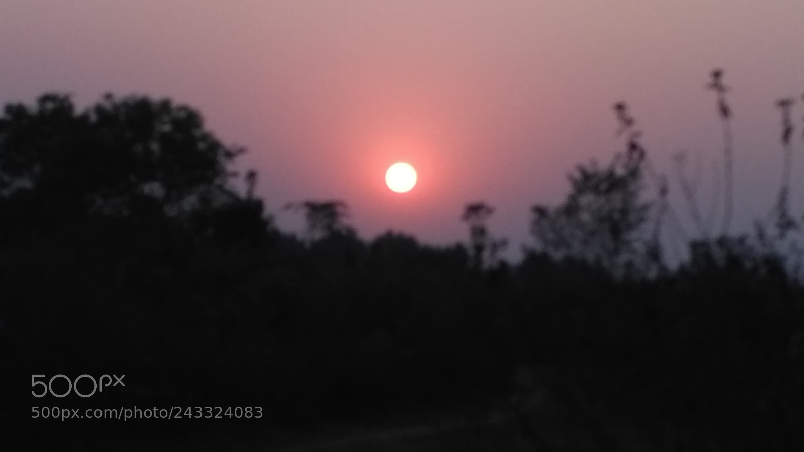 Xiaomi Redmi 3S sample photo. Sunset photography