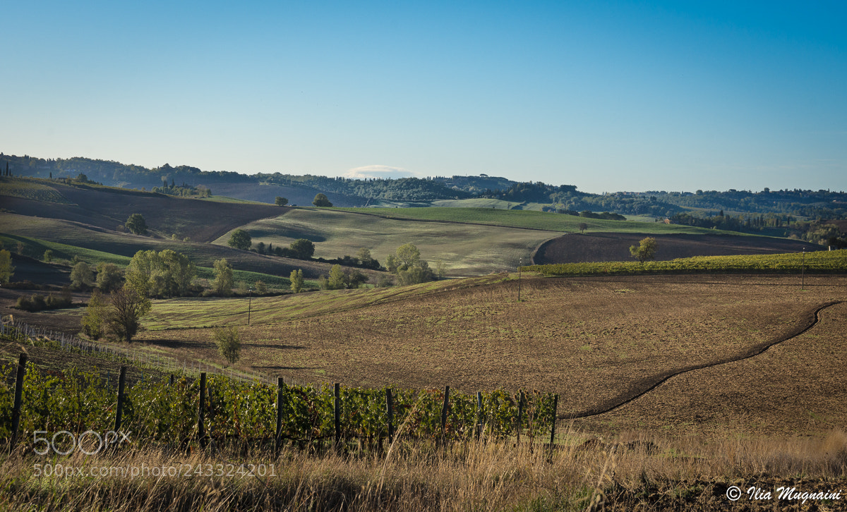 Nikon D7200 sample photo. Campagna settembina photography