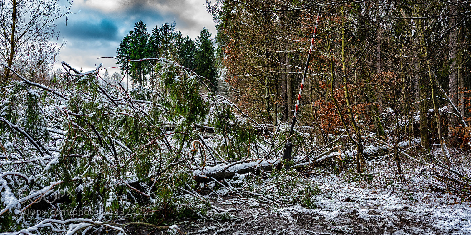 Nikon D810 sample photo. Nach dem sturm photography