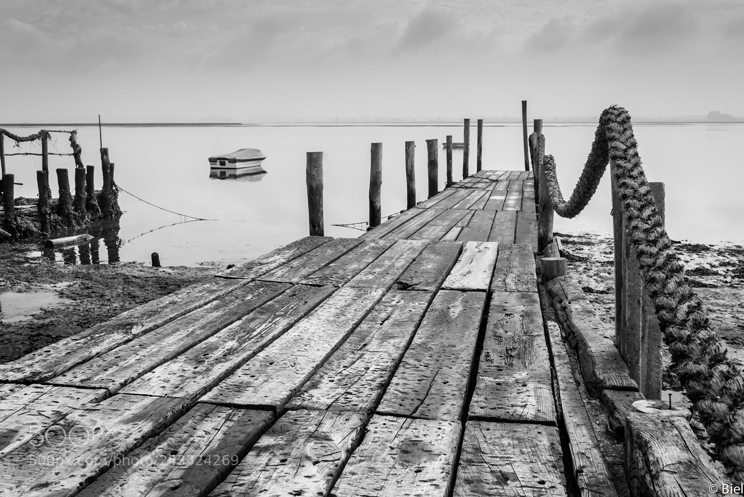Nikon D80 sample photo. Wood pier photography