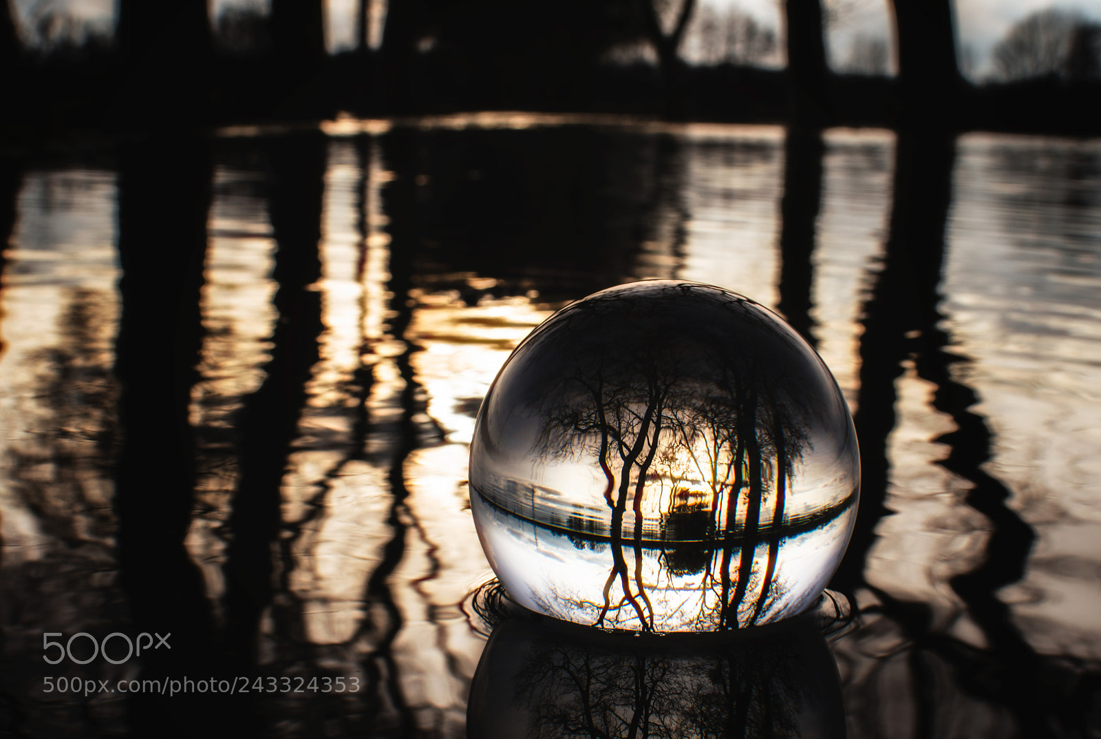 Nikon D5500 sample photo. Crystal ball in water photography