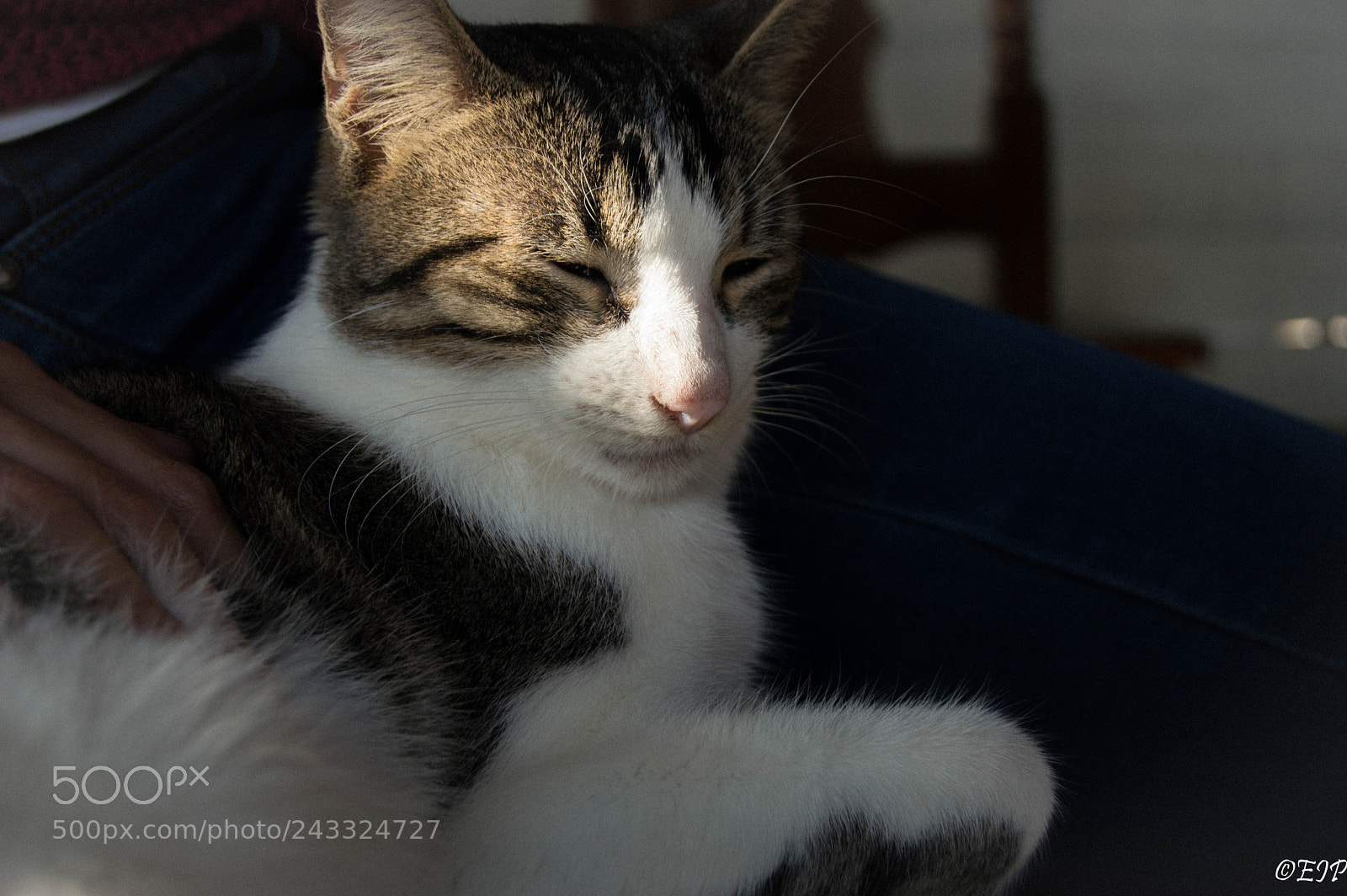 Nikon D3200 sample photo. Lorenzo photography