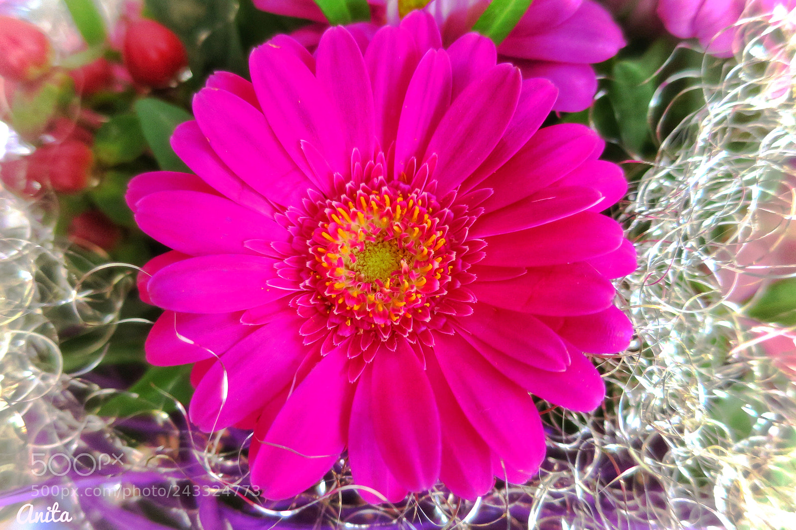 Canon PowerShot S120 sample photo. Wrapped with joy ❤️ photography