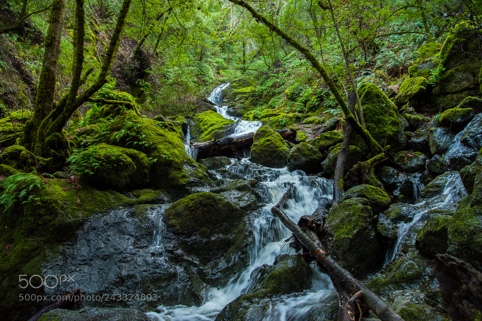 Nikon D810 sample photo. Cataract falls, california photography