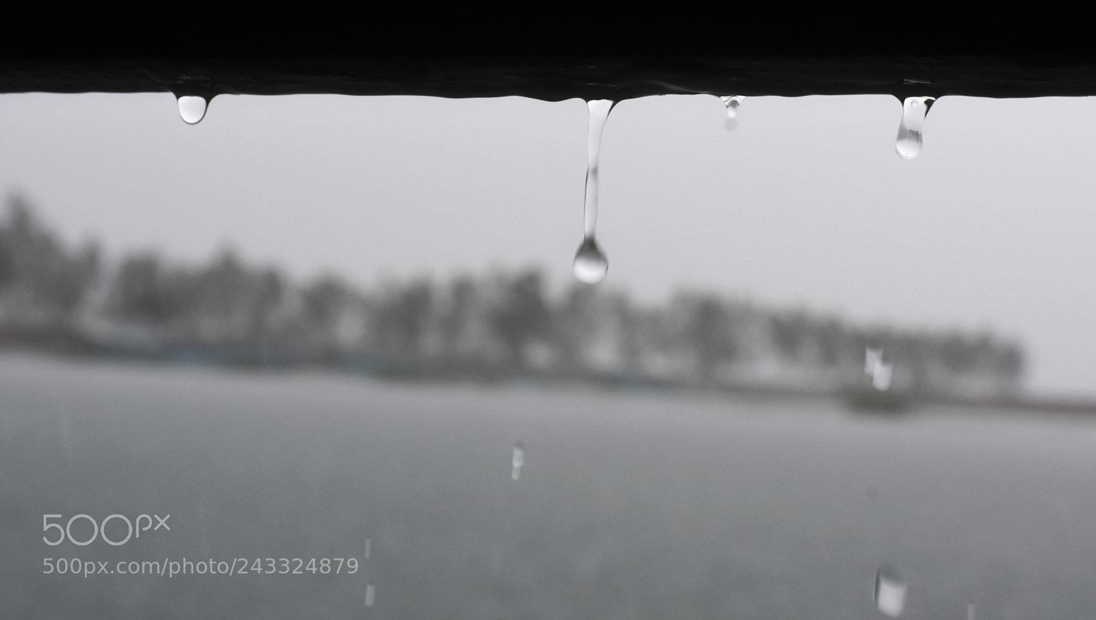 Nikon D7200 sample photo. Untitled photography