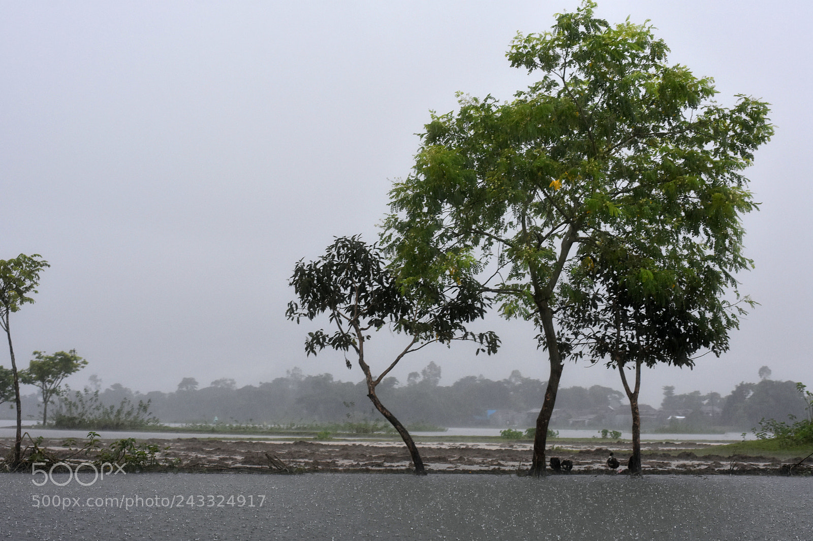 Nikon D7200 sample photo. Untitled photography