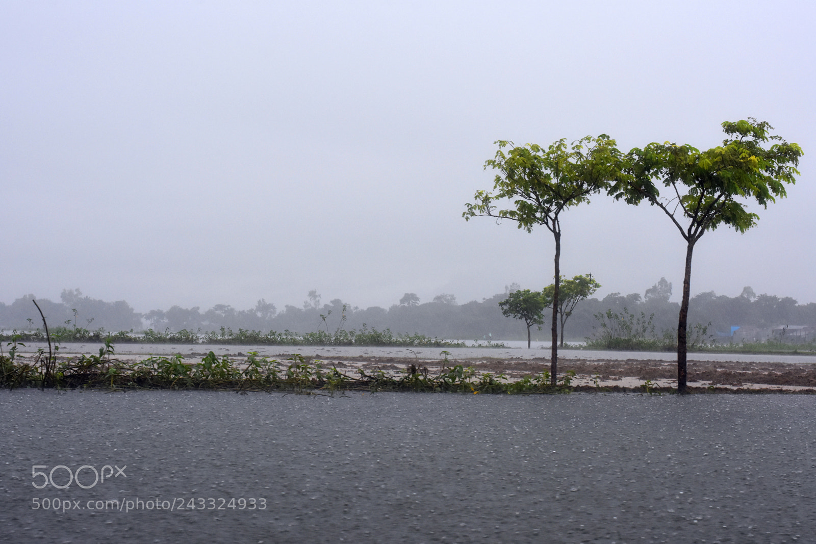 Nikon D7200 sample photo. Untitled photography