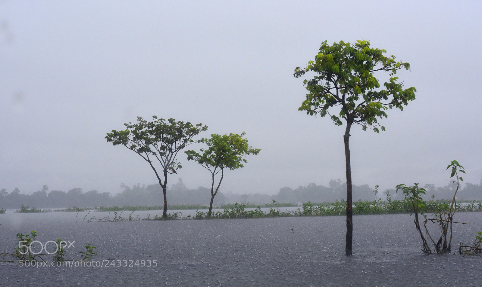 Nikon D7200 sample photo. Untitled photography