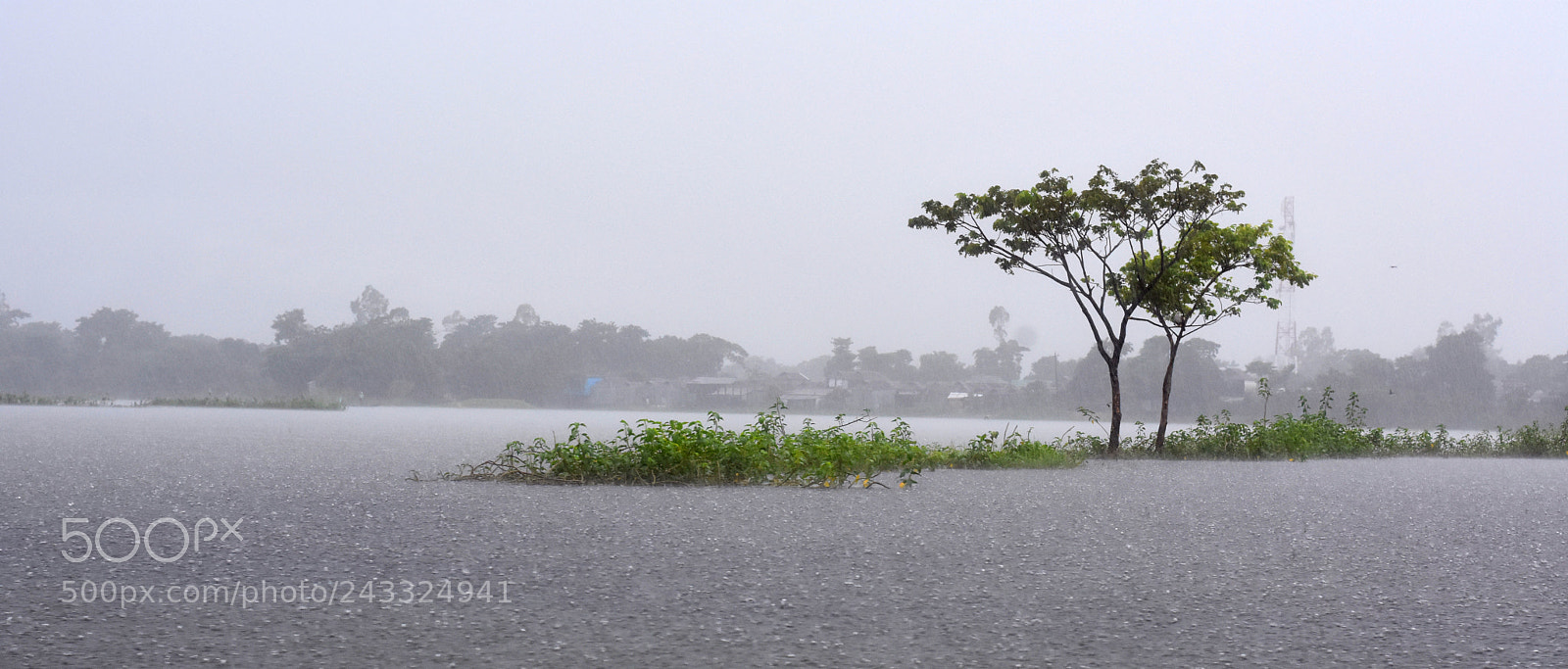 Nikon D7200 sample photo. Untitled photography