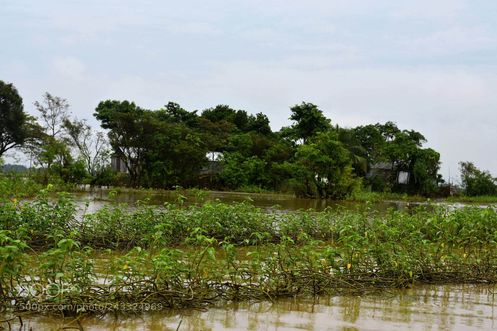 Nikon D7200 sample photo. Untitled photography