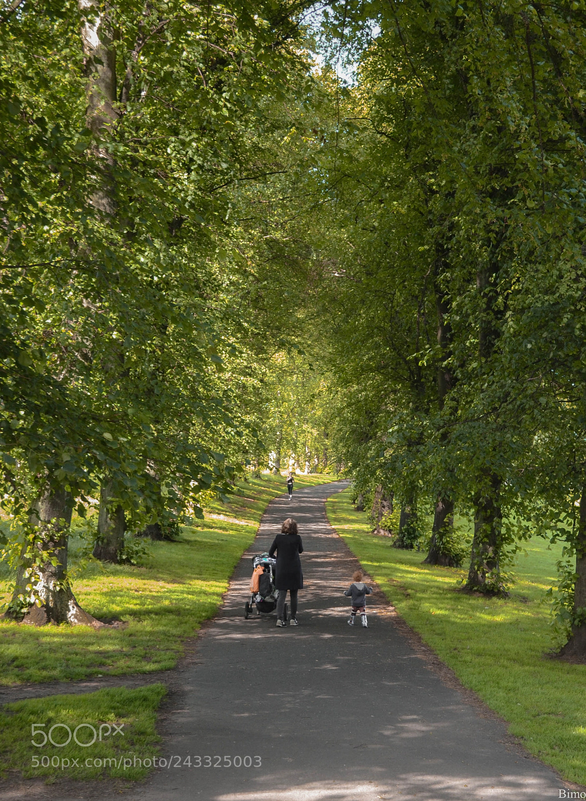 Nikon D3100 sample photo. Edinburgh photography