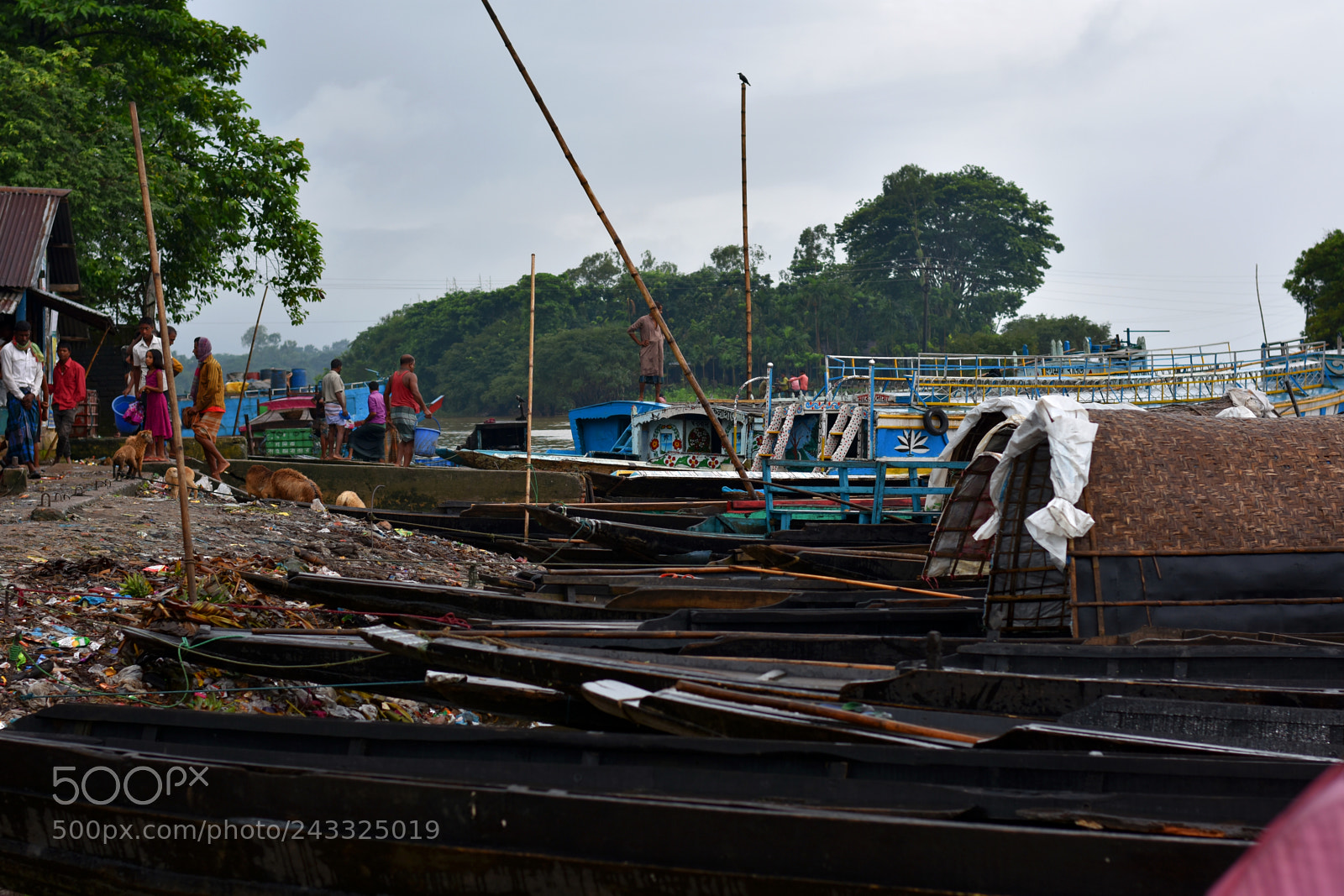 Nikon D7200 sample photo. Untitled photography