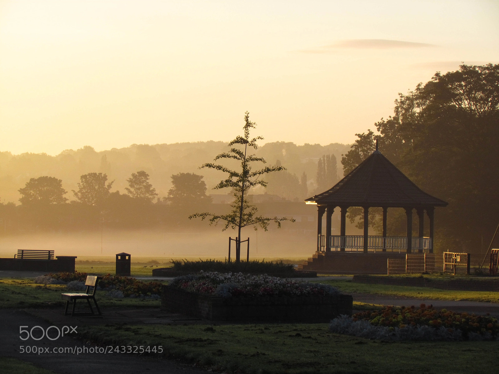 Canon PowerShot SX30 IS sample photo. Foggy morning photography