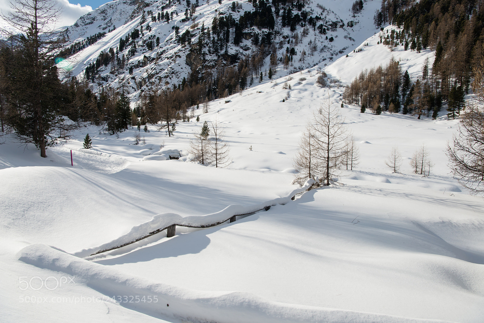 Nikon D800 sample photo. Winter landscape photography