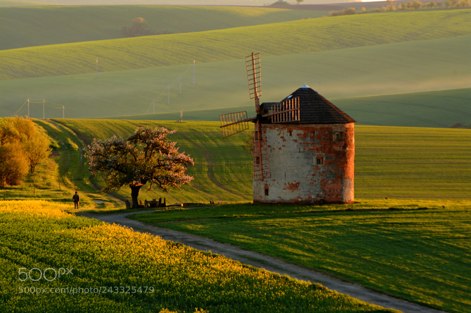 Nikon D7100 sample photo. Fairytale landscape photography