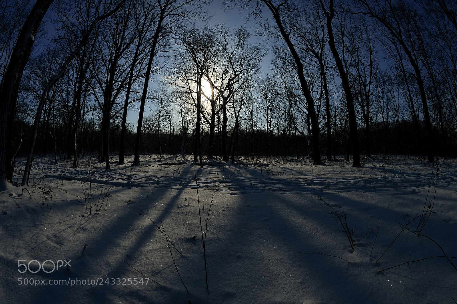 Nikon D4 sample photo. Cold winter's morning photography