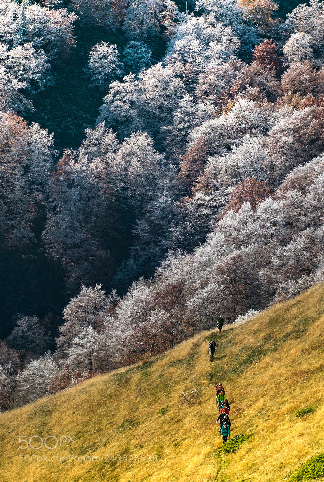 Fujifilm X-E1 sample photo. Border between seasons photography