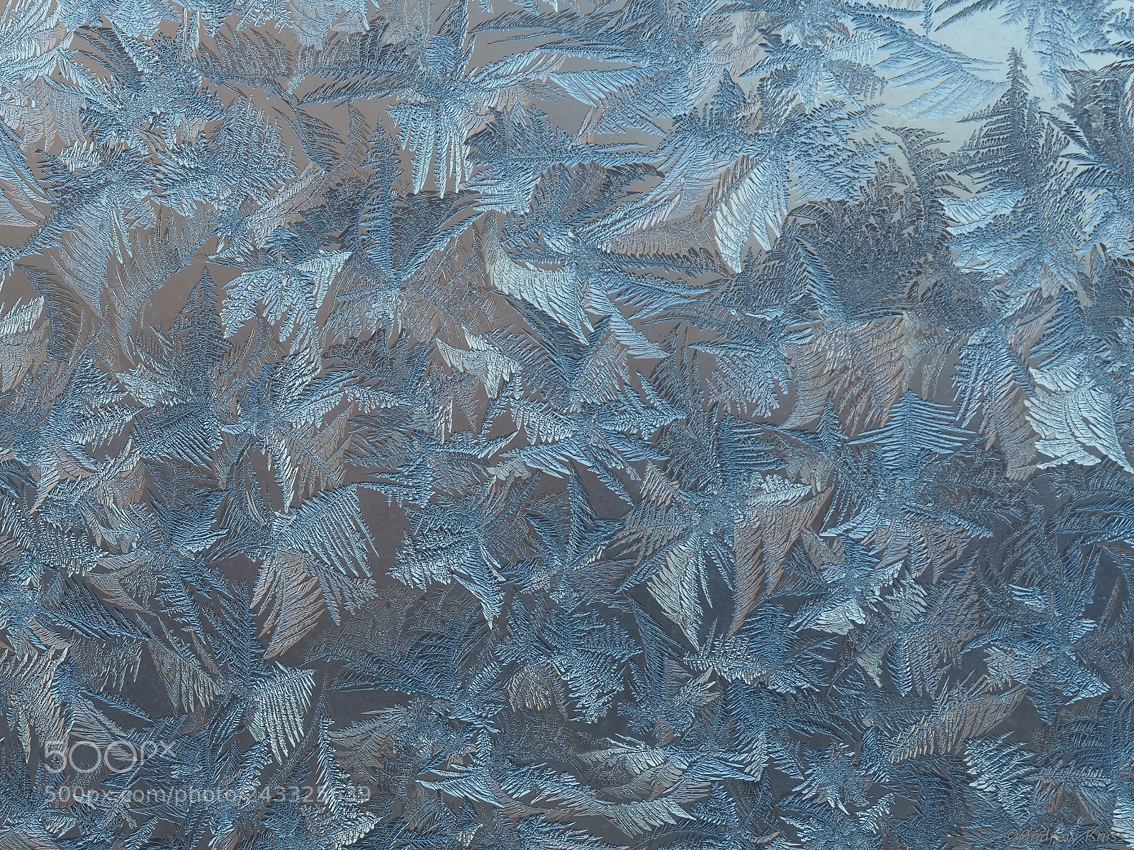 Olympus OM-D E-M5 II sample photo. Ice patterns on a photography