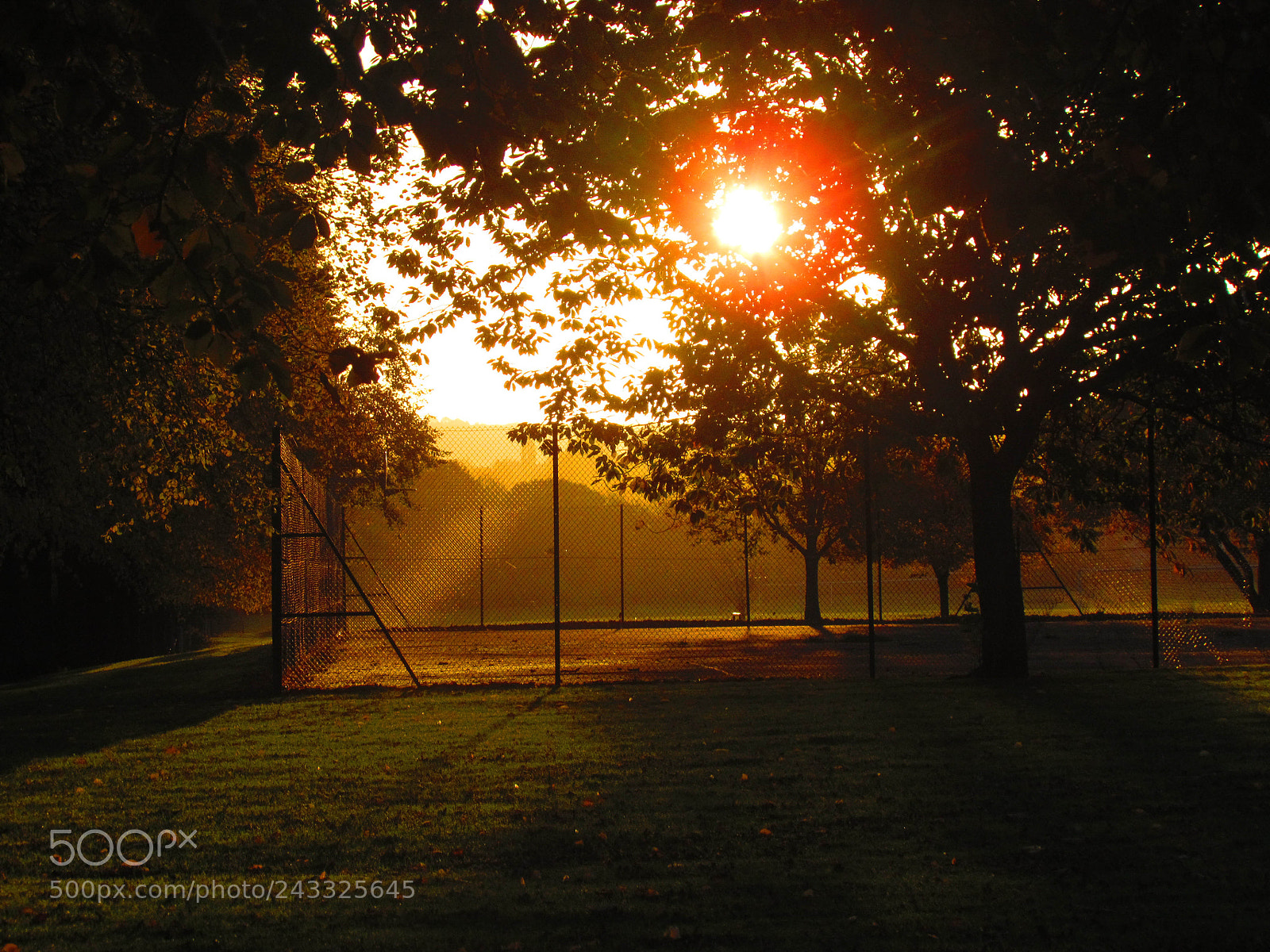 Canon PowerShot SX30 IS sample photo. Morning tennis photography